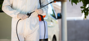 pest control Elanora