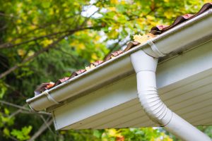 Gutter Cleaning West Auckland